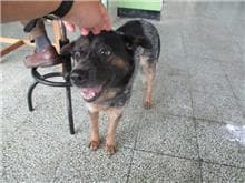 CAAAG1080509023