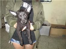 CAAAG1060703002