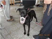 CAAAG1091209025