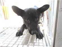 CAAAG1060216007