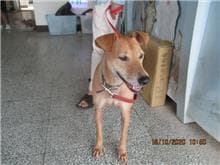 CAAAG1091018001