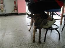 CAAAG1080226003
