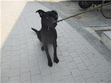 CAAAG1080408001